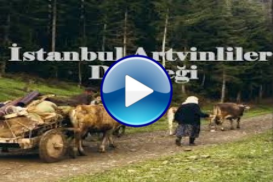 SULTANBEYLİ MERKEZ ARTVİNLİLER KORTEJ YÜRÜYÜŞÜ